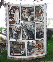 Full view of woven throw blanket with multiple cat and kitten images in panels, fringe edging visible.