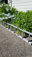 Side view of the aluminum extension ladder laid on concrete next to garden plants.
