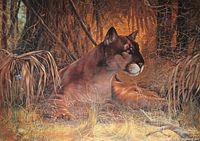 Print depicting Florida Panther resting amidst foliage and dry grass, detailed realistic wildlife art