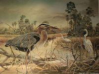 A detailed photo of the custom matted wildlife art print showing herons in marsh vegetation by Robert Binks.
