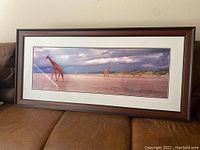 Framed panoramic photograph showing giraffes walking on a flat terrain with a dark cloudy sky.