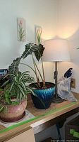 Photo of large leafy house plants in ceramic pots including blue and pink/beige pots beside a table lamp with white shade