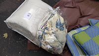 Image showing queen size comforter set in packaging alongside beige pillows and brown fabric item. Comforter has tropical print with blue and green hues.