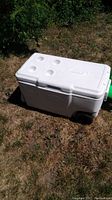 White Coleman cooler with cup holders on the lid sitting on grass outdoors.