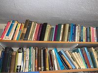 Two shelves filled with hardcover and paperback books in various colors and sizes, showing a wide range of academic topics.