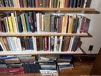 Two shelves filled with assorted hardback and paperback books with additional books stacked below
