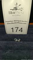 Photo of lot tag number 174 with both earrings in blue velvet jewelry holder