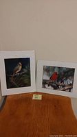Two cardinal prints side by side, one female cardinal and one male cardinal mounted on white mat board.