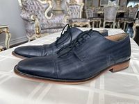 Side view of men's blue leather dress shoes showing sleek design, wood sole, and pointed toe