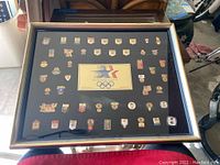 Overview of framed set showing all pins mounted on black backing with frame.