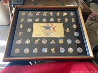 Full view of framed limited edition pin set with 36 pins mounted on dark background and central plate.