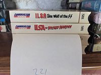 Spine view of two Ilsa VHS tapes showing American Video branding and titles: She Wolf of the SS and The Wicked Warden