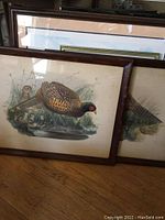 Pair of framed pheasant lithograph prints leaning against several other framed artworks on the floor.