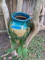 Large colorful ceramic pot positioned within tree branches, showing blue glazed rim and beige body partly covered by green vines.