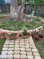 Wide shot showing five pieces grouped on ground near garden bed, two metal baskets and three pottery pots