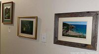 Left to right wall-mounted framed pieces as seen from an angle: mountain river landscape, wildlife 'Cove' artwork, coastal cove photograph.