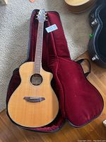 Full view of guitar inside open red-plush-lined soft case, showing body, neck, headstock and case interior