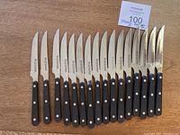 Top view of all 16 steak knives laid out with blades pointing up, showing identical design.