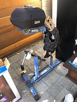 Blue pitching machine with black protective cover mounted on adjustable stand, includes baseball glove and chest guard hung on machine frame, baseball resting at base.
