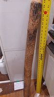 Full length view of the long wooden rain stick standing upright next to a tape measure showing roughly 40 inches in length.