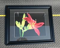 Framed artwork showing a red lotus flower and green pods with black matte and frame, horizontal orientation.