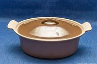 Brown cast iron Dutch oven with lid on, showing overall condition and color.
