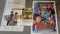 Top-down view of all three posters with Wheeler on right, Trackdown on left, and Vanishing Wilderness small poster in middle