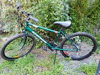 Full side view of a green C.C.M. Mega mountain bike showing oversized frame, knobby tires, and kickstand in an outdoor garden setting.