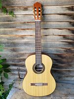 Full view of the guitar front showing body, neck and headstock resting against a weathered wooden wall with greenery.