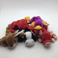 Group of five Beanie Babies including Patti, Snort, Daisy, Ears, and Pinchers, showing variety of colors and styles with tags attached.