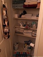 Closet with shelves containing towels, linens, hairdryer, and toiletries in plastic bins and cans on floor.