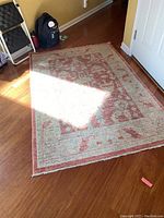 Full view of the oriental style rug placed on wood floor with sunlight casting on part of it