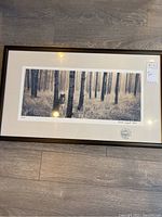 Framed black-and-white photographic print showing a wolf in a forest, signed and numbered 42/66 by Darwin Wiggett, 2008.