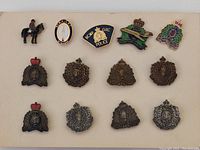 All 14 RCMP and North West Mounted Police pins arranged on a board, showing different designs and finishes including mounted horseman, shields, and crests.