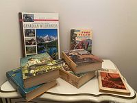 Photo showing a pile of vintage hardcover books on a white table, titles include 'The Great Canadian Wilderness,' 'Toby Tyler,' and other vintage books.