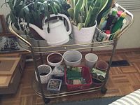 Full shot of metal and glass bar cart with assorted plants and small items showing overall structure and content disposition
