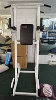 Front view of Para Body Dip Machine showing white frame, black padded armrest and backrest, and grip bars.