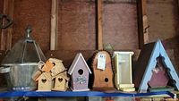 Photo showing a variety of bird houses of different sizes and designs arranged on a shelf, including wooden and painted varieties