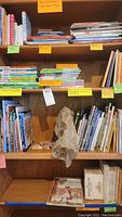 Bookshelves filled with varied kids' books, mostly paperbacks and some hardcovers, labeled for sorting and identification.