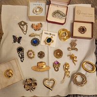 Full view of all 22 brooches laid out on fabric including boxed and loose pins.