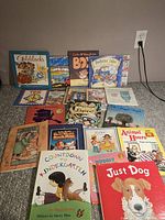 Photo of 17 children's books arranged on floor showing various titles and colorful covers.