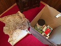 Photo showing an open cardboard box with various greeting and thank you cards inside alongside a faux leopard print rug.