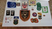 Overhead view of full collection showing badges, pins, crests, patches, plaques, coasters, key fob and Irish bookmark