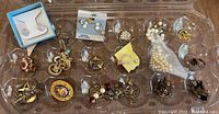 Overall view of the collection showing multiple compartments holding the costume jewelry items including earrings, brooches, pins, and pendants arranged in an organizer tray.