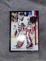 Front of Dominik Hasek rookie card in Chicago Blackhawks uniform with embossed seal.