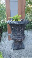 Side view of tall black ornate planter with green leafy plant and white rock inside.