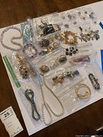 Overview of all costume jewelry items including necklaces, bracelets, brooches, earrings, and cufflinks arranged on a white background with zip lock bags.