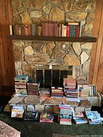 Wide view of assorted books arranged on mantel, hearth, and floor showing top shelf, hearth stacks, and DVD sets.