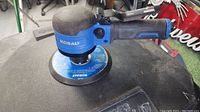 Kobalt 6-inch dual action air sander showing sanding pad and part of body.
