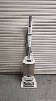 Front view of the upright Shark vacuum cleaner showing the dustbin, handle, and base.